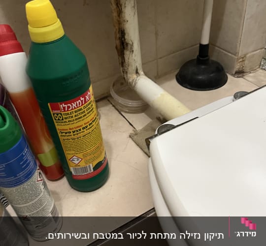 בקבוקי חומרי ניקוי ליד אסלה ומנקה פומפה